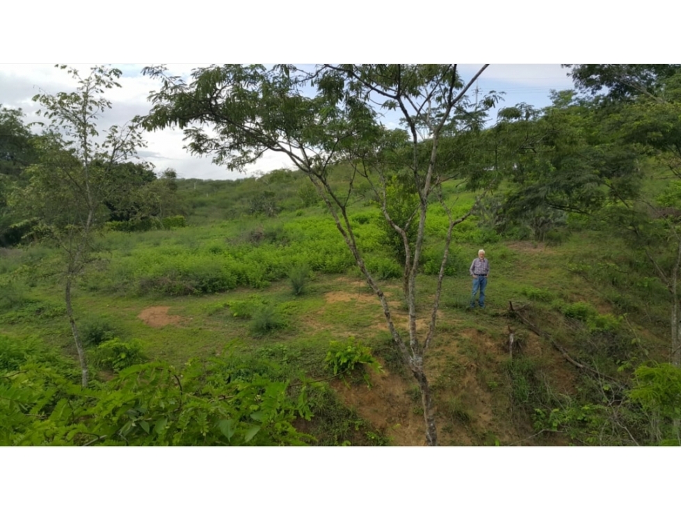 Lote en ubicación estratégica — foto 3