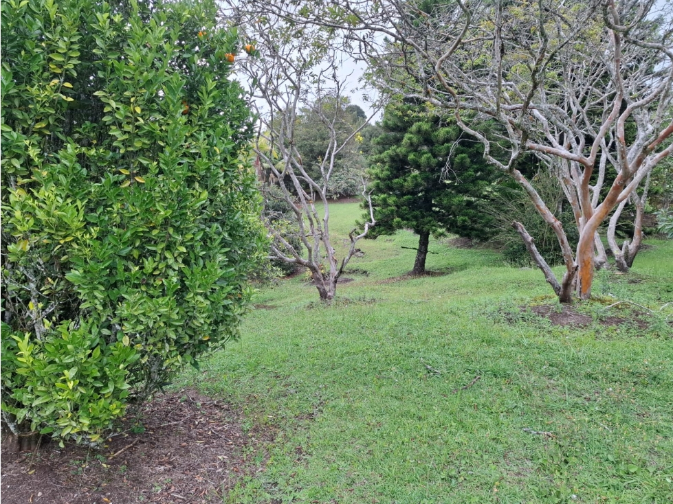 Vive la tranquilidad que mereces, rodeado de naturaleza — foto 5