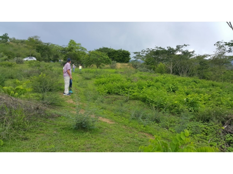 Lote en ubicación estratégica — foto 4