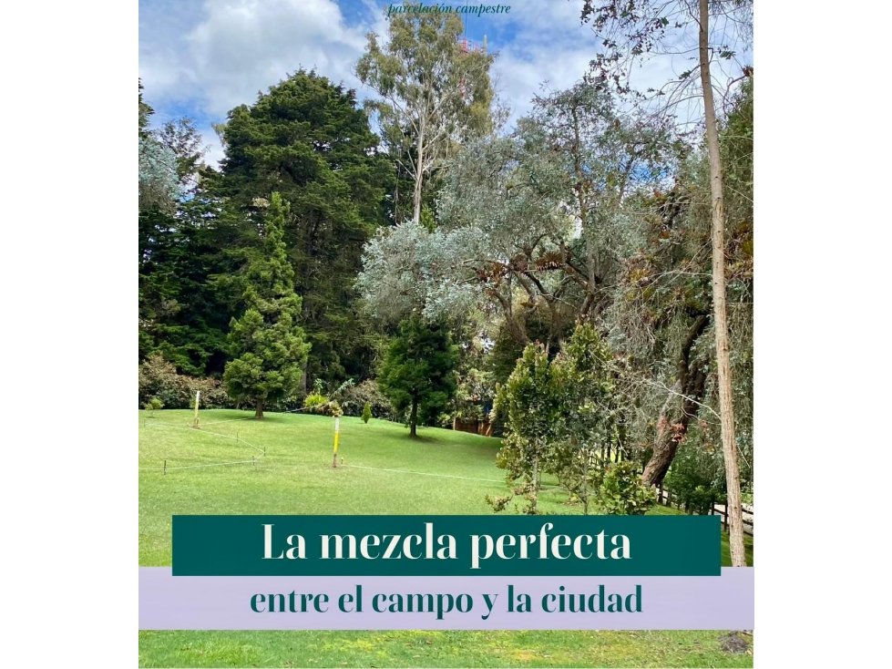 Lote en Alto de las Palmas — foto 3