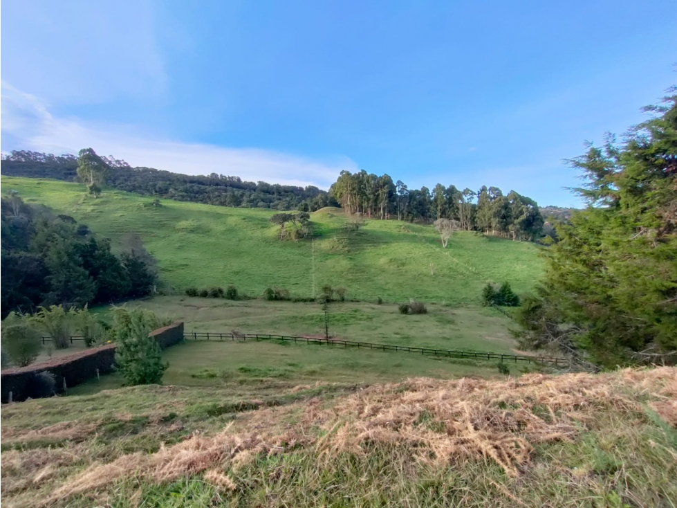 Espectacular lote en el Alto de Palmas al mejor precio! — foto 4