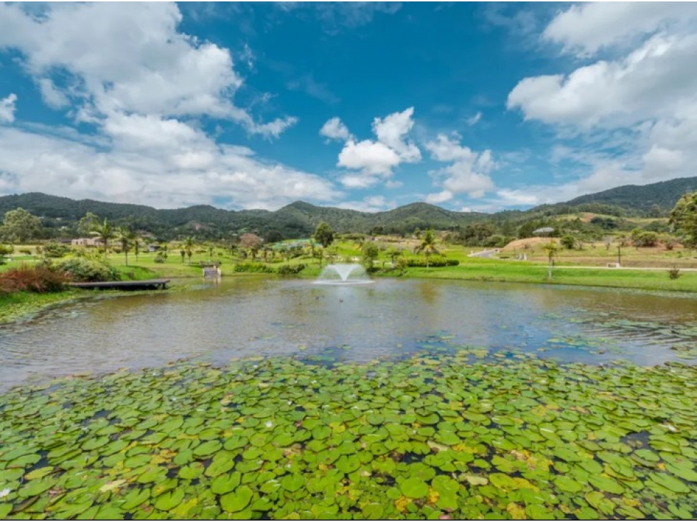 Lote 2.500 m² en Reserva Silvestre, La Ceja - Índice 0,5 — foto 5