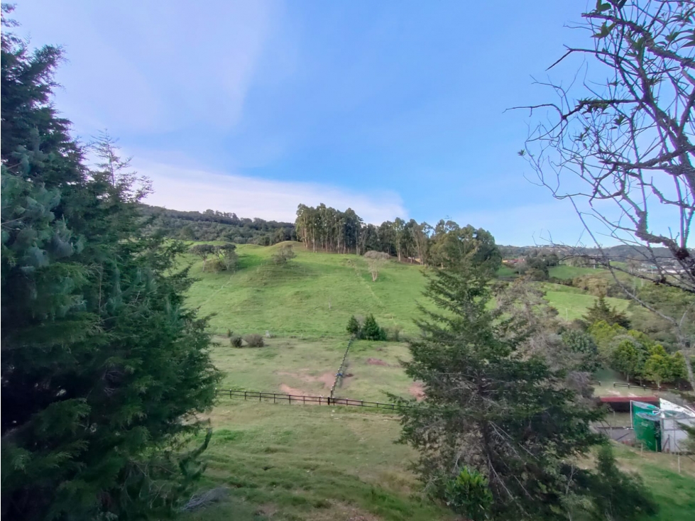 Espectacular lote en el Alto de Palmas al mejor precio! — foto 5