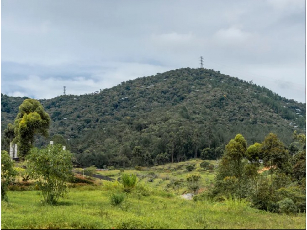 Lote 2.500 m² en Reserva Silvestre, La Ceja - Índice 0,5 — foto 6