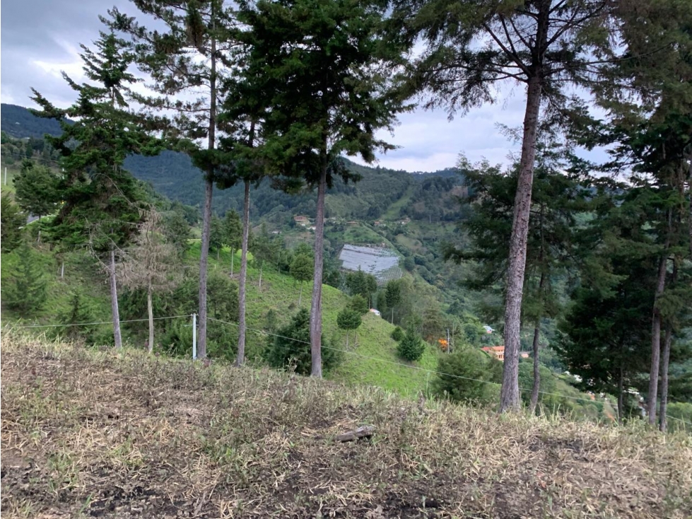 Amplio lote con vista a Medellín y entorno natural en Envigado. — foto 6