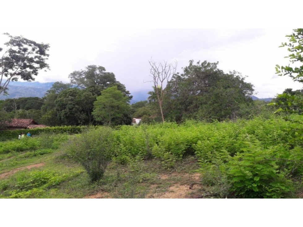 Lote en ubicación estratégica — foto 6