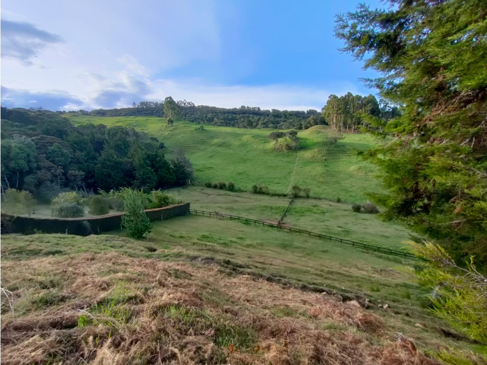 Espectacular lote en el Alto de Palmas al mejor precio! — foto 6