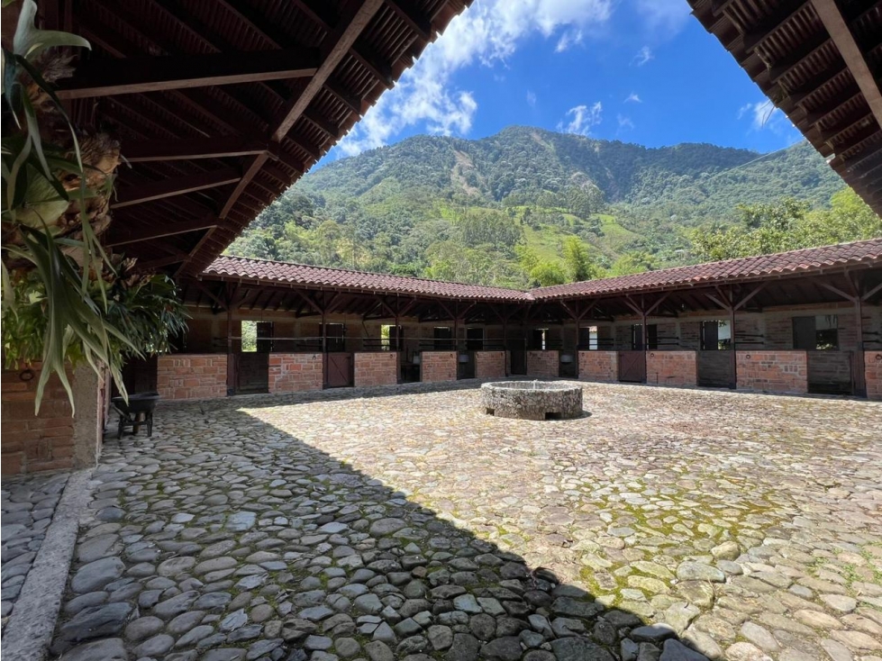 FINCA EN VENECIA IDEAL PARA CABALLISTAS, CON 18 CABALLERIZAS Y TORNO — foto 3