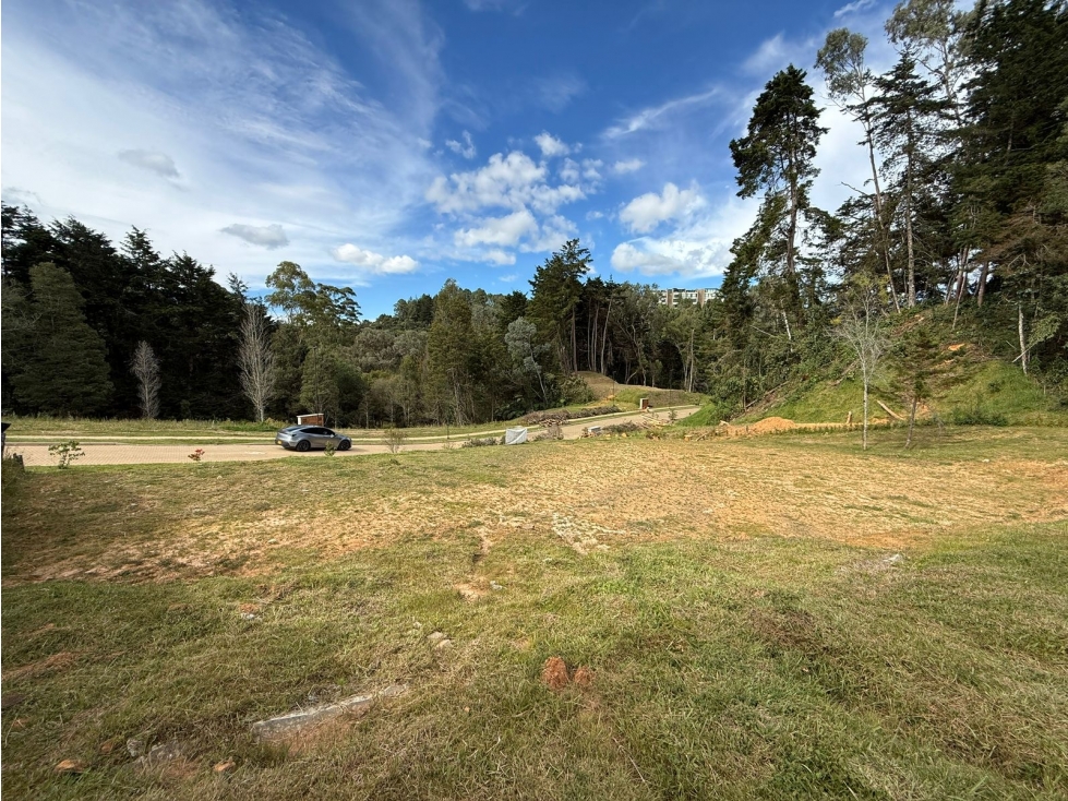 Lote en Alto de las Palmas