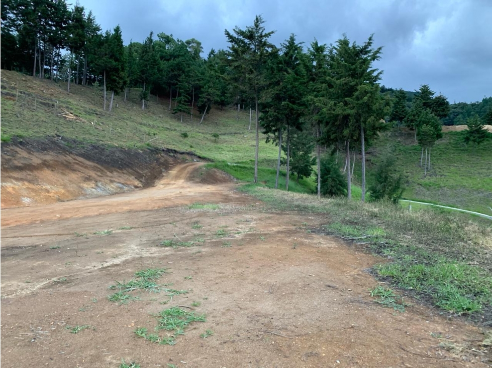 Amplio lote con vista a Medellín y entorno natural en Envigado. — foto 3