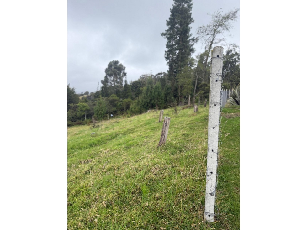 EL SOPO VEREDA LA VIOLETA VENDO LOTE 1.100 M2 - 3