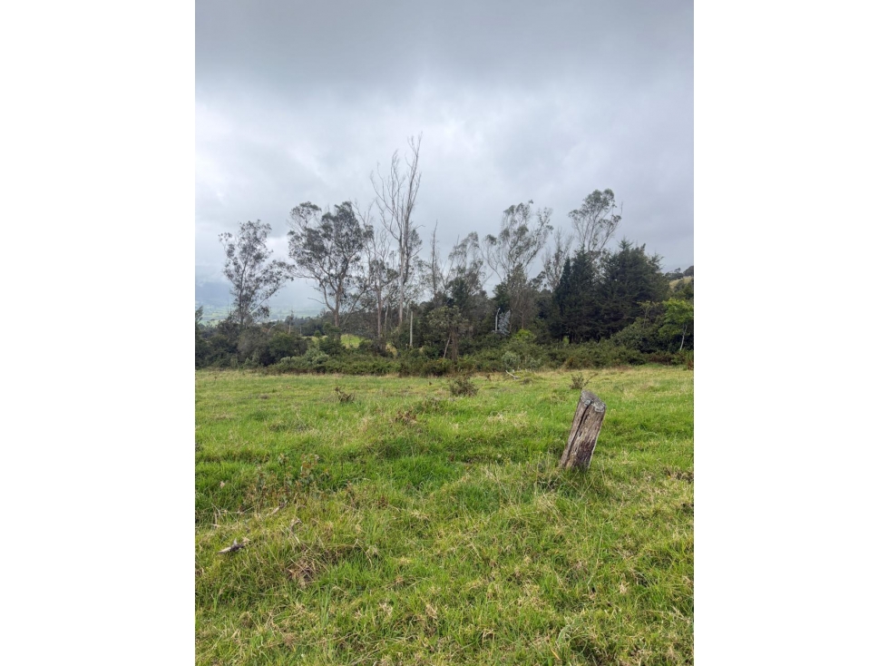 EL SOPO VEREDA LA VIOLETA VENDO LOTE 1.100 M2 - 4