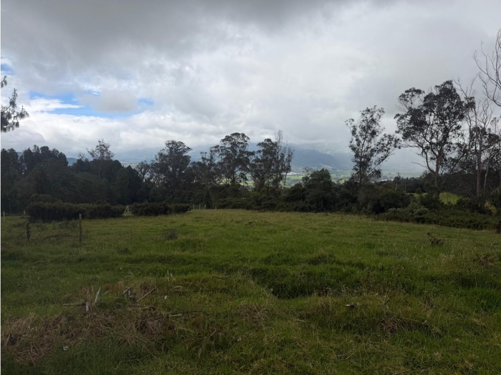 EL SOPO VEREDA LA VIOLETA VENDO LOTE 1.100 M2 - 5