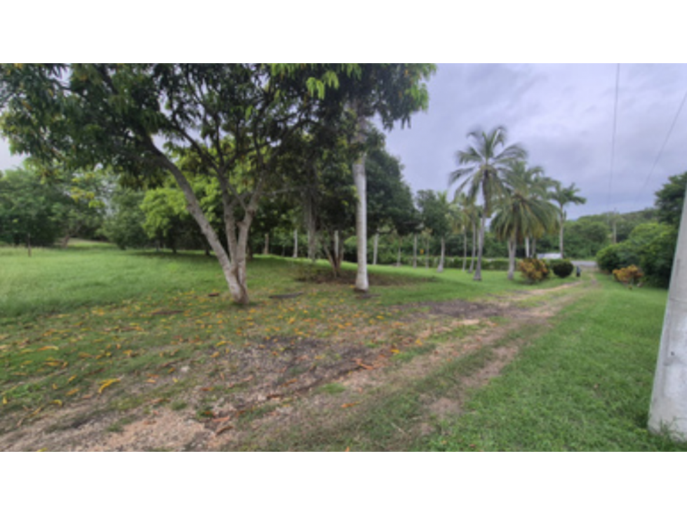 LOTE EN VENTA EN MAMONAL, SECTOR INDUSTRIAL DE LA CIUDAD DE CARTAGENA — foto 3