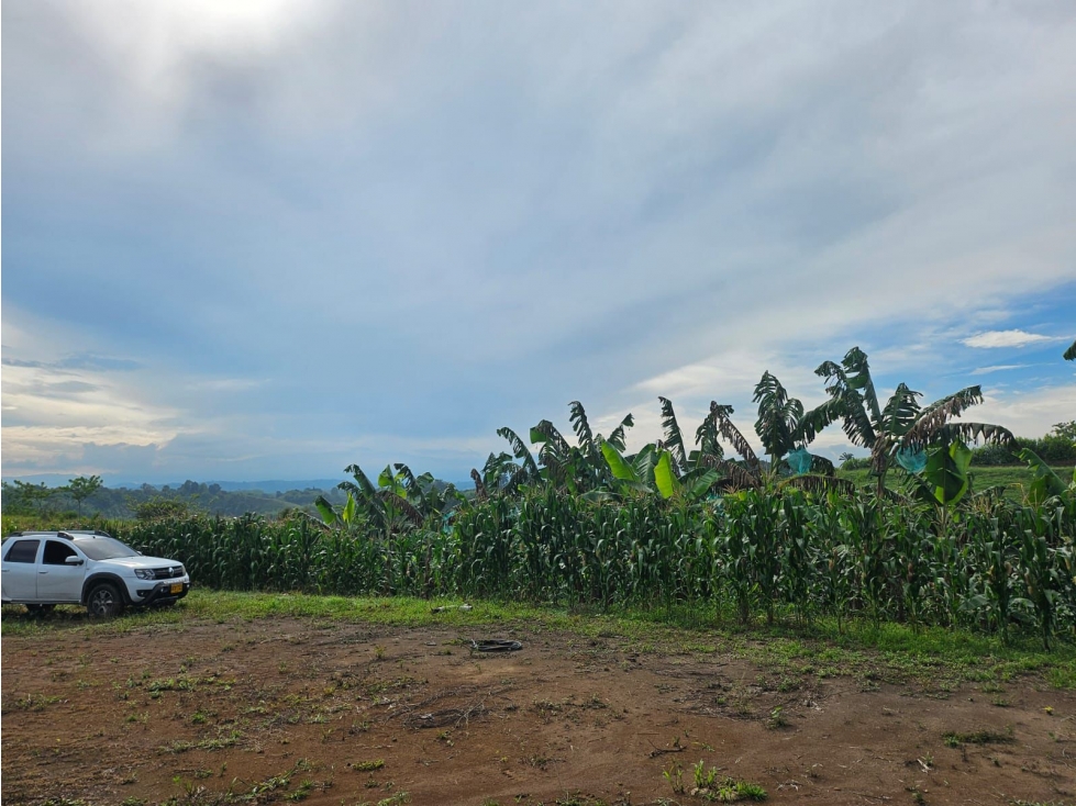 lote en la palmilla de vende, via a alcala, pereira — foto 2