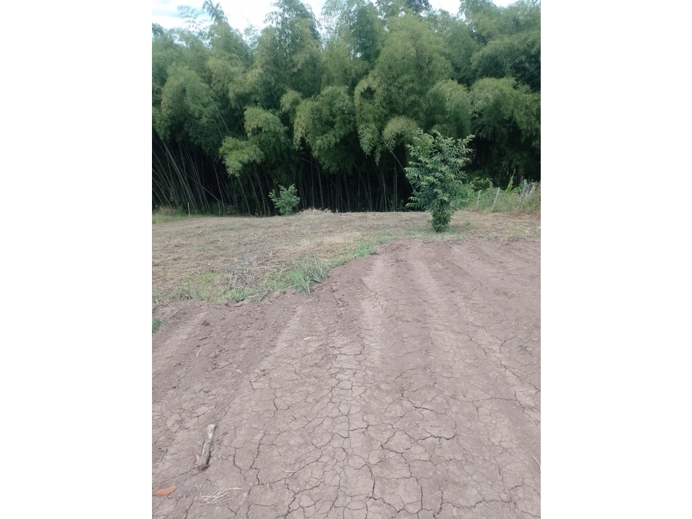 se vende lote la palmilla, pereira