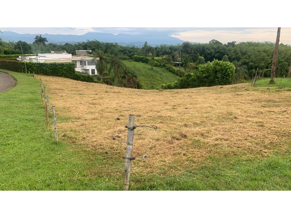 LOTE via cerritos cartago, entrada 10, pereira — foto 2