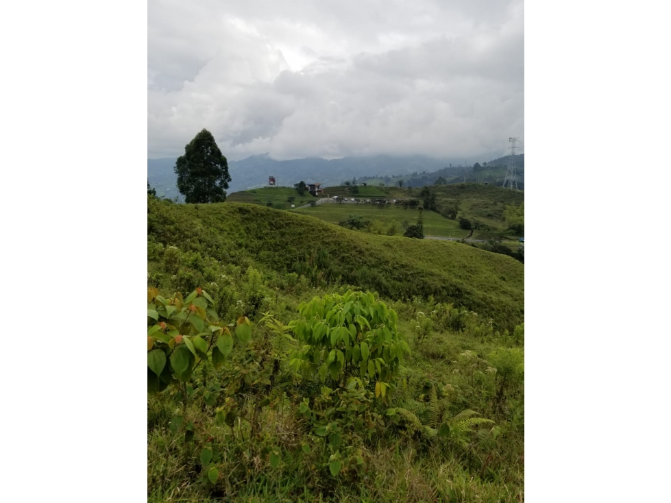 Se venden lotes en Santa Rosa ,Risaralda - 5
