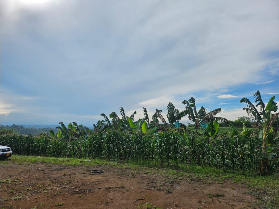 lote en la palmilla de vende, via a alcala, pereira — foto 4