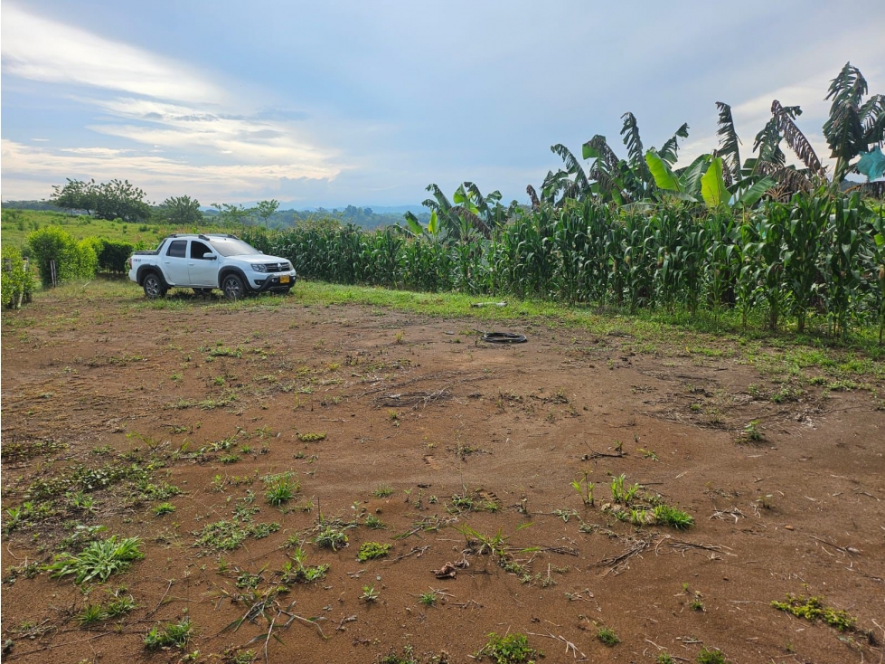 lote en la palmilla de vende, via a alcala, pereira — foto 6