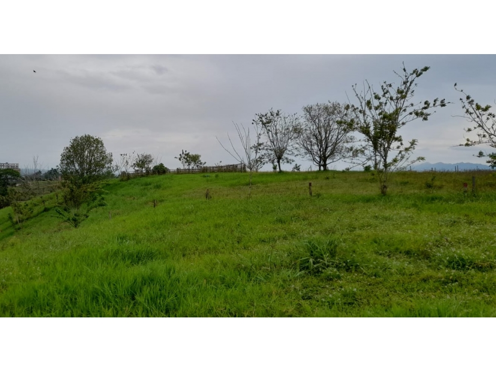 Se venden lotes en Combia 4000m — foto 6
