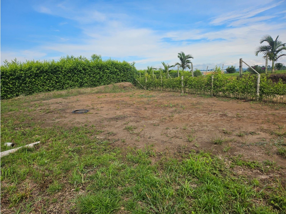 lote en la palmilla de vende, via a alcala, pereira