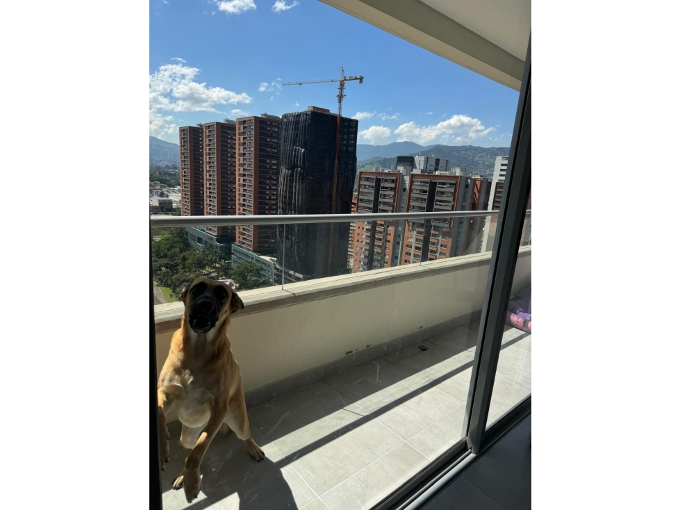 Apartamento en Ciudad del Río iluminado y con vista — foto 5
