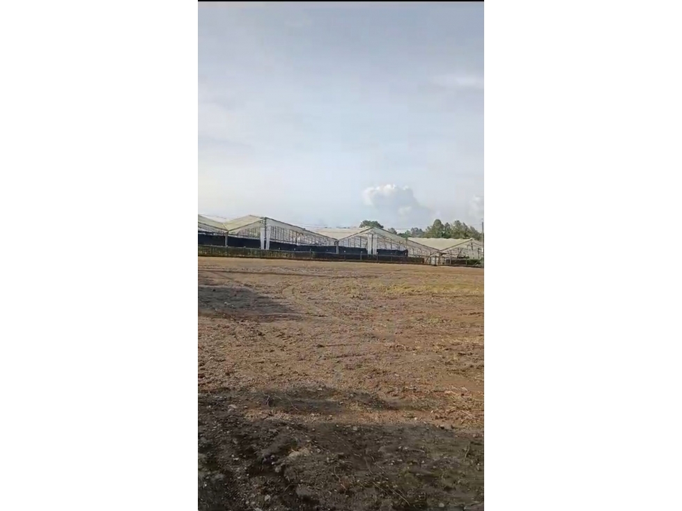 Arriendo Lote de 5.400.m2 explanados — foto 6