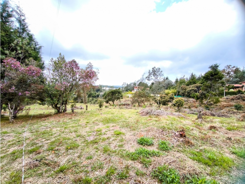 LOTE EN GUARNE VEREDA PIEDRAS BLANCAS — foto 2