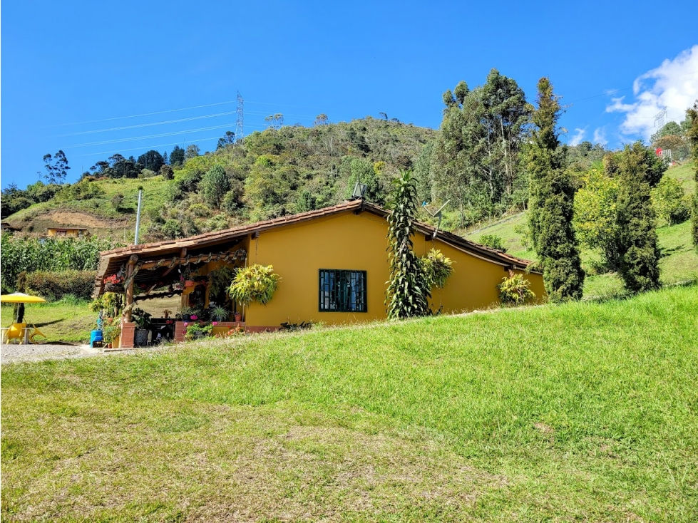 FINCA EN GUARNE CON POTENCIAL ILIMITADO