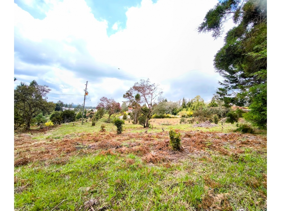 LOTE EN GUARNE VEREDA PIEDRAS BLANCAS — foto 3