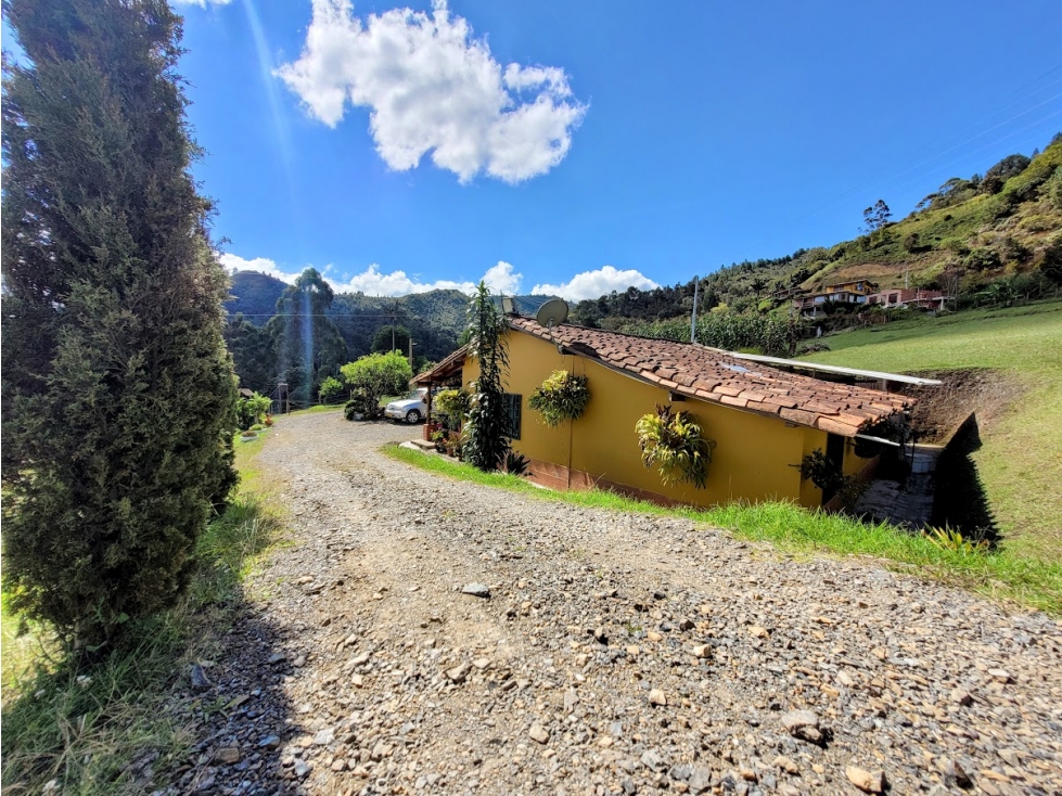 FINCA EN GUARNE CON POTENCIAL ILIMITADO — foto 4