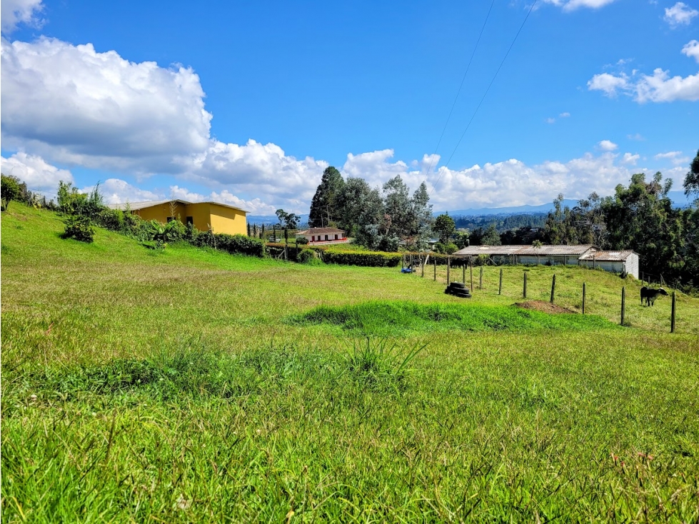 FINCA EN GUARNE CON POTENCIAL ILIMITADO — foto 5
