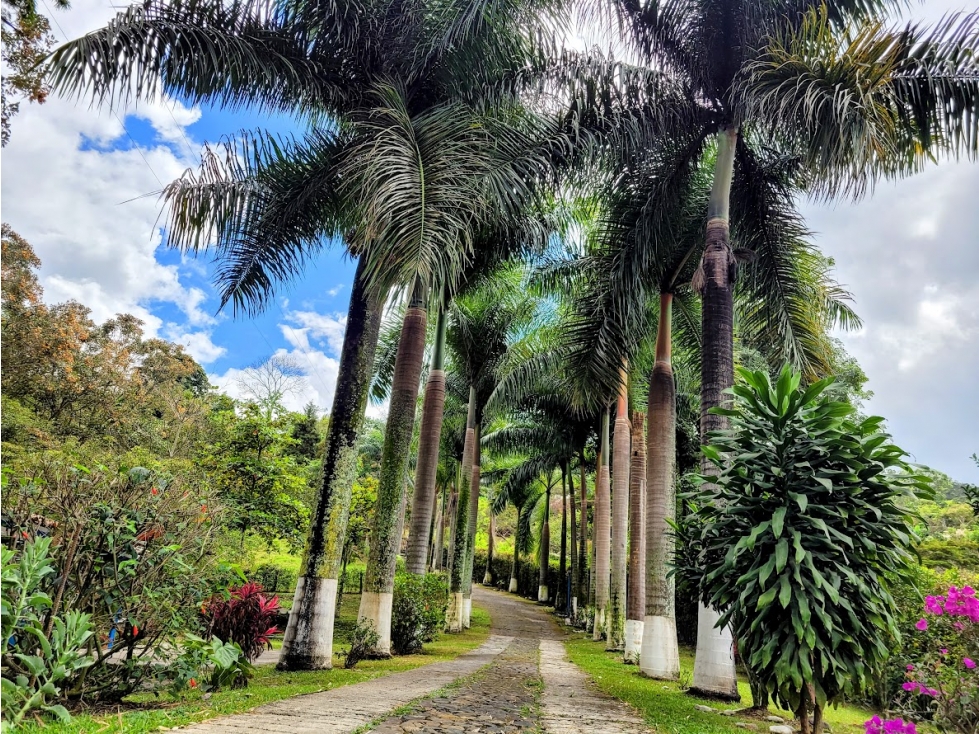 FINCA EN GIRARDOTA UN PARAÍSO ENTRE LAS PALMAS — foto 4