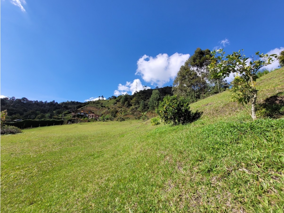 FINCA EN GUARNE CON POTENCIAL ILIMITADO — foto 6