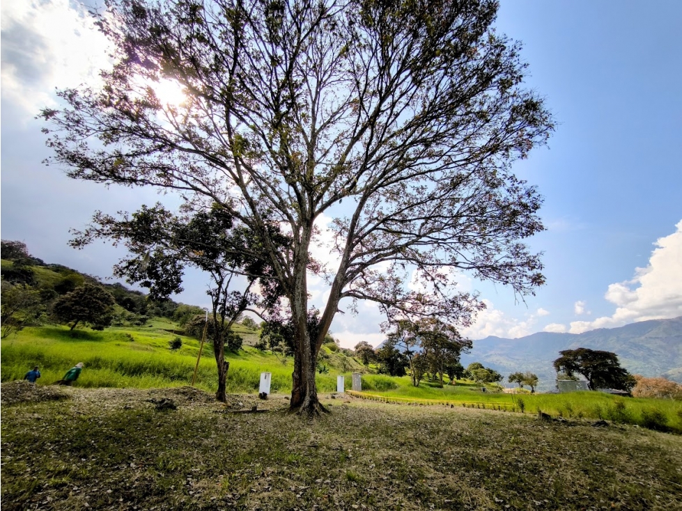 VENTA DE LOTES EN PARCELACIÓN VEREDA EL TOTUMO GIRARDOTA