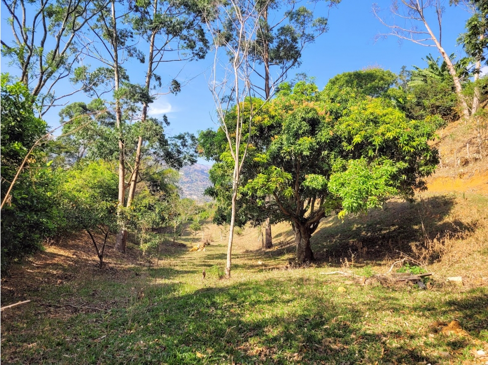 LOTES INDEPENDIENTES DESDE 2600 METROS VEREDA EL TOTUMO GIRARDOTA — foto 4