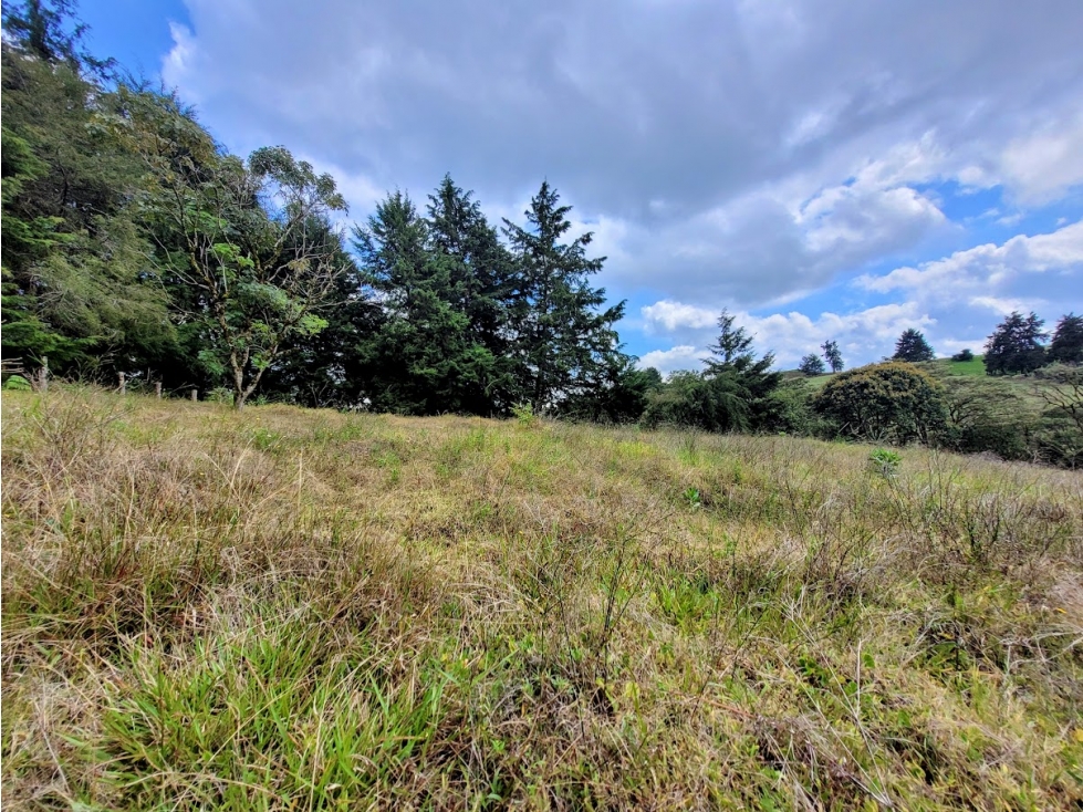 LOTE DE 60.000 METROS EN RIONEGRO DE CLASE MUNDIAL