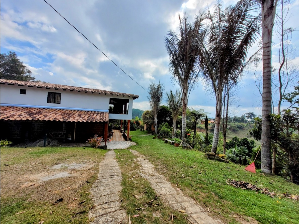 FINCA EN GUARNE CHAPARRAL RICA EN POTENCIAL — foto 2