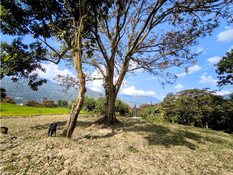 VENTA DE LOTES EN PARCELACIÓN VEREDA EL TOTUMO GIRARDOTA — foto 3