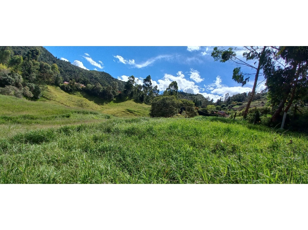 LOTE DE 9.600 METROS EN GUARNE CHAPARRAL CON CASA CAMPESINA — foto 2