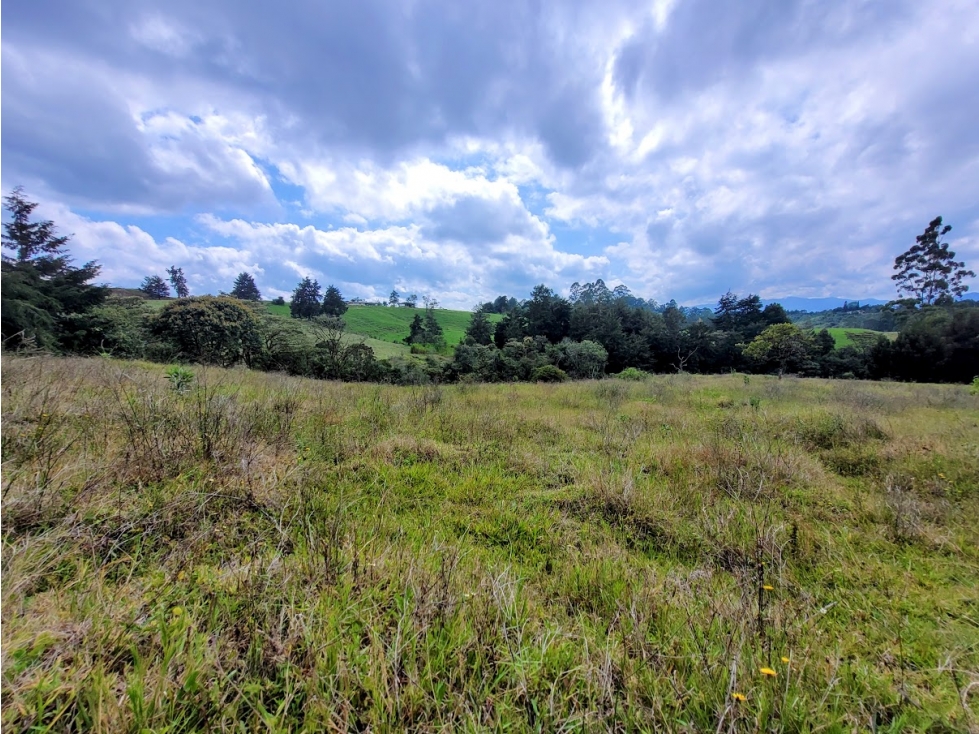 LOTE DE 60.000 METROS EN RIONEGRO DE CLASE MUNDIAL — foto 2
