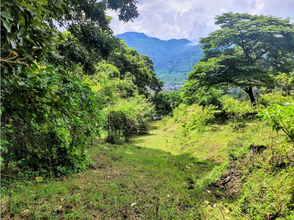 LOTE DE 3640 METROS VEREDA EL TOTUMO DE GIRARDOTA — foto 3