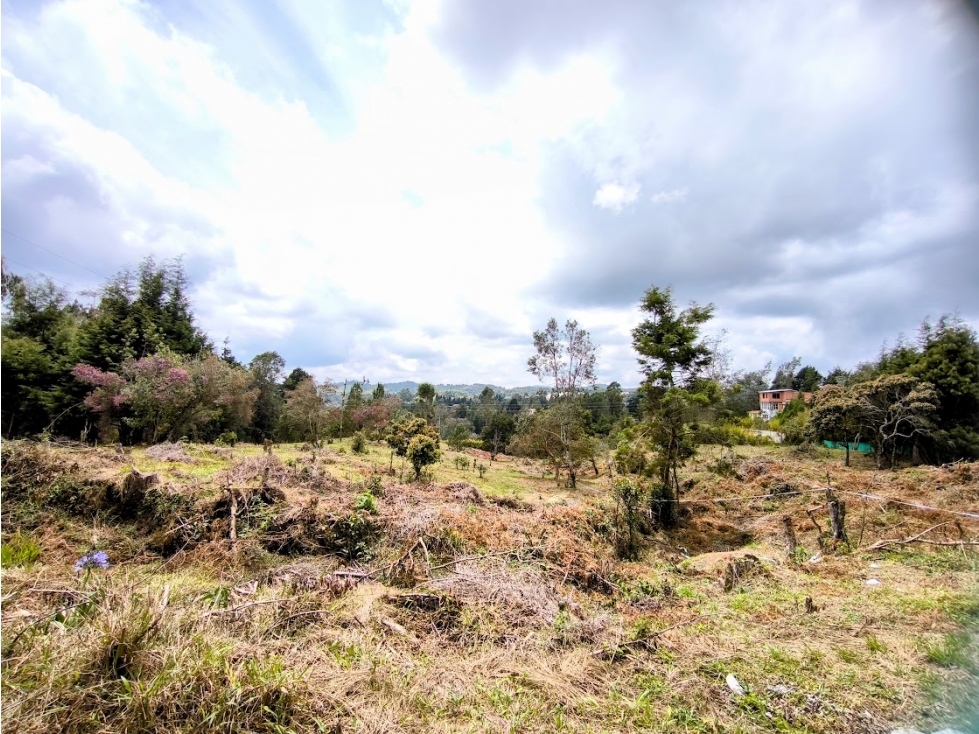 LOTE EN GUARNE VEREDA PIEDRAS BLANCAS — foto 5