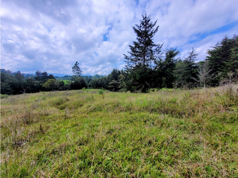 LOTE DE 60.000 METROS EN RIONEGRO DE CLASE MUNDIAL — foto 3