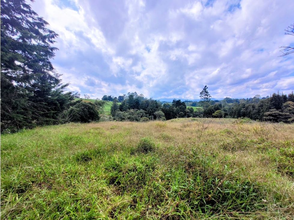 LOTE DE 60.000 METROS EN RIONEGRO DE CLASE MUNDIAL — foto 4