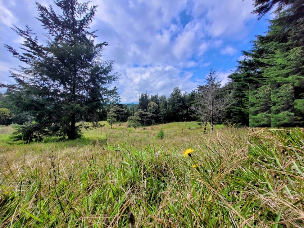 LOTE DE 60.000 METROS EN RIONEGRO DE CLASE MUNDIAL — foto 5