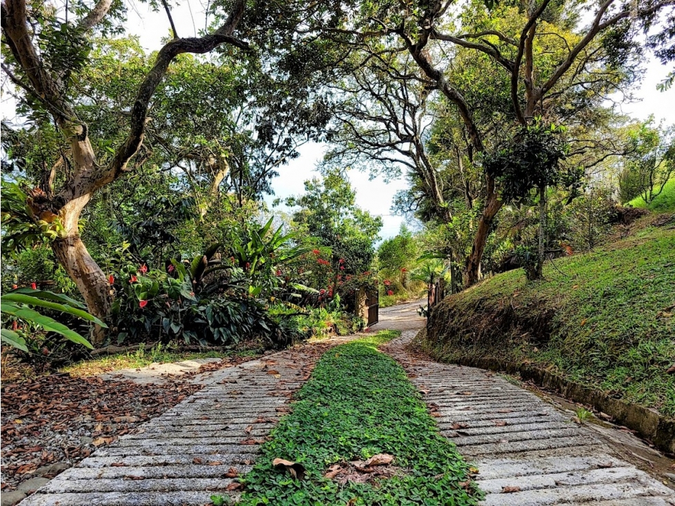 Finca en Girardota con 5.200 m², casa de 2 niveles y vía pavimentada — foto 4
