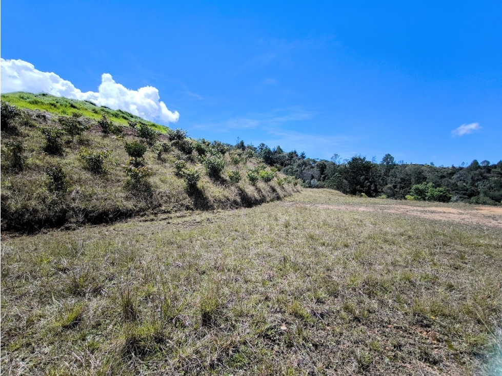 Lote en venta en El Retiro, Pantanillo | 1.836 m² y hermosa vista - 6