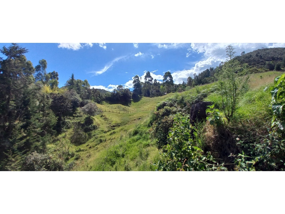 LOTE DE 9.600 METROS EN GUARNE CHAPARRAL CON CASA CAMPESINA — foto 3